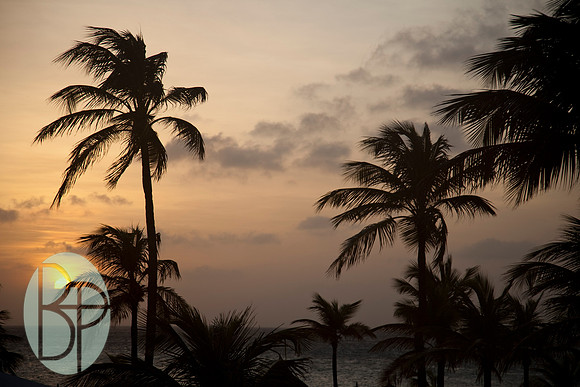 ARUBA