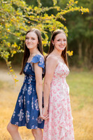 SISTER GALLERY