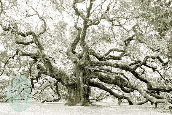 SOUTH CAROLINA